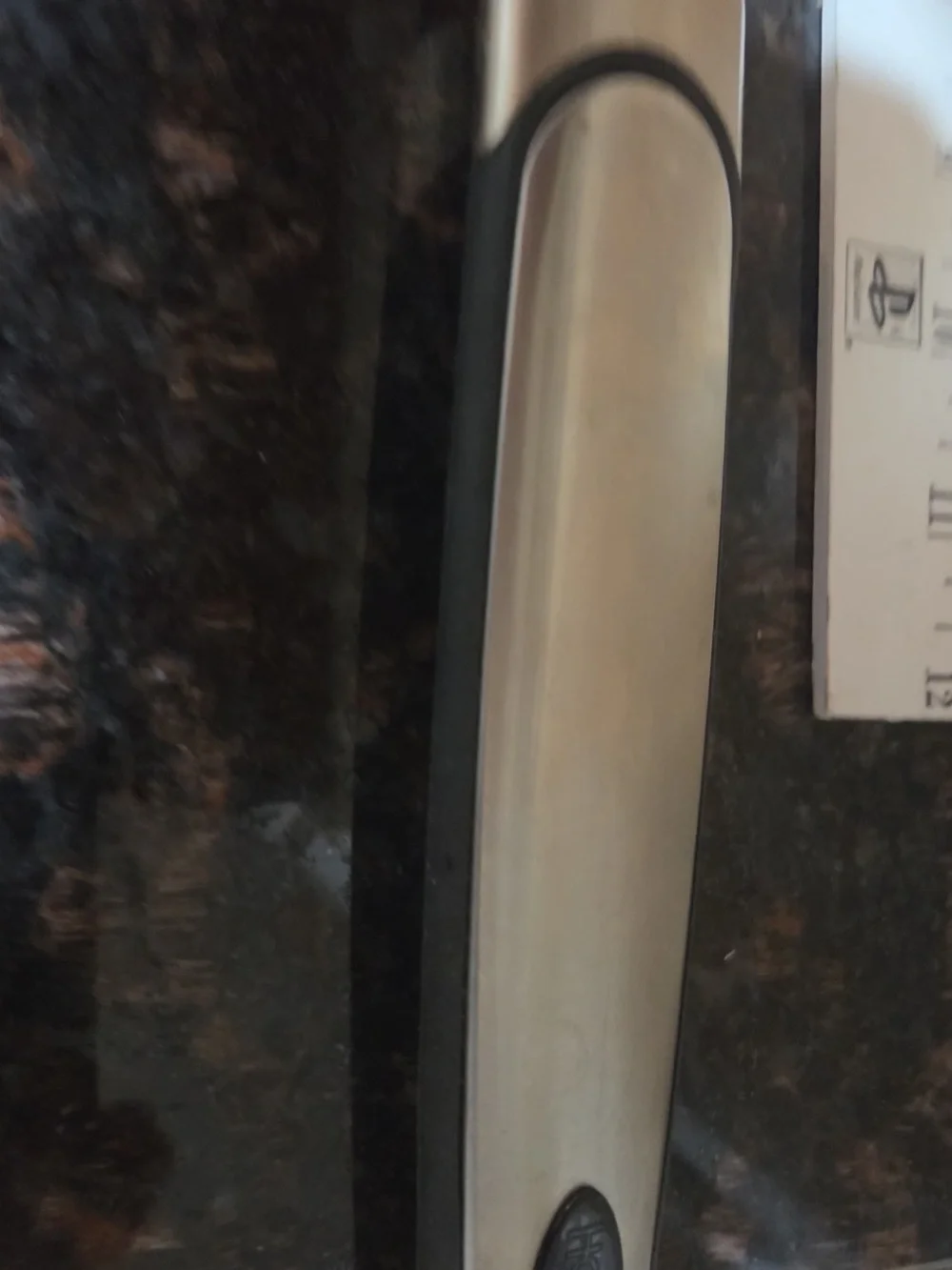 Stainless Steel Carving Knife - Silver